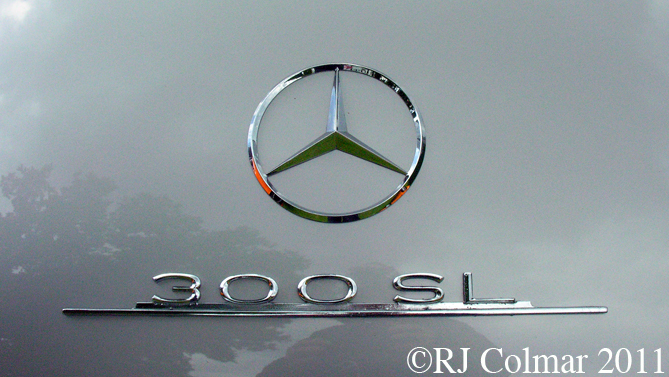 Mercedes Benz 300 SL, Goodwood FoS