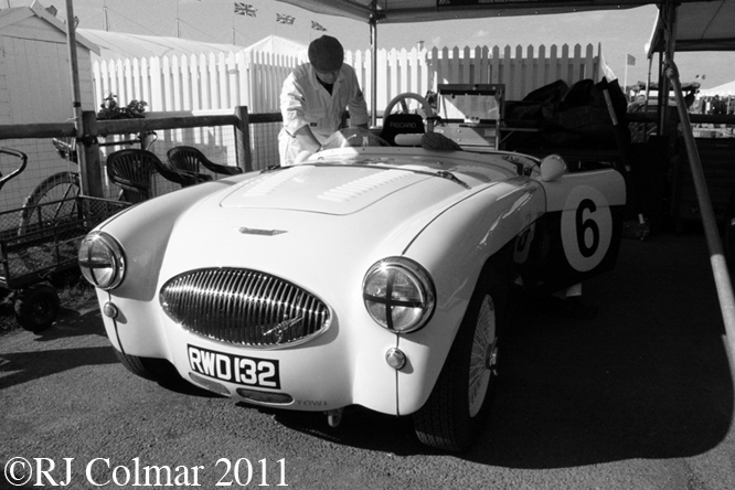 Austin Healey, Goodwood Revival