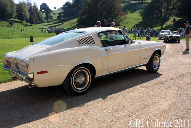 Ford Mustang, 302, Steve Hillcox, Dyrham Park 