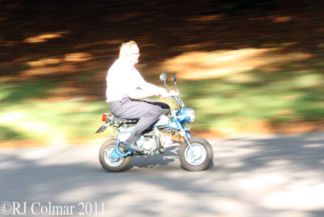 Monkey Bike, Vince Woodman, Dyrham Park 