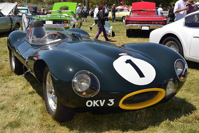 Jaguar D-Type, Marin Sanoma C d'E