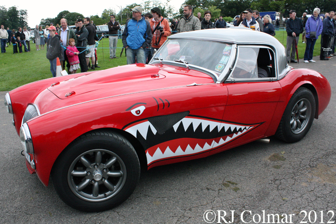 Austin Healey (Uncobra), Classics at the Castle, Sherborne Castle