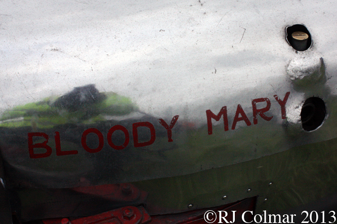 Bloody Mary, 5th Tony Marsh Memorial Weekend, Gurston Down
