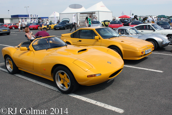 Ginetta Owners Club, Silverstone Classic