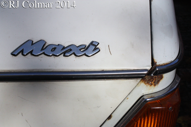 Austin Maxi, Avenue Drivers Club,