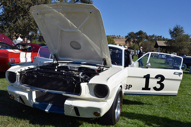 Shelby Mustang G.T. 350, Niello Concours At Serrano