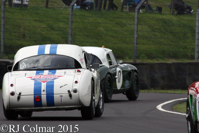 Austin Healey 3000 Mk1, David Grace, Castle Combe